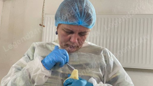 ���������� �������� ����� ���������� � �����������