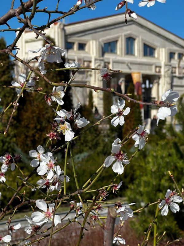 ������ ������� ����� �������� ������