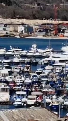 #���_�����. ���� � ���������