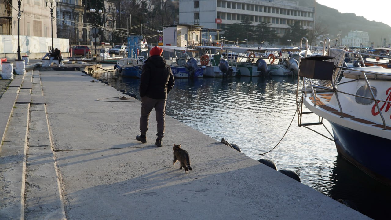 Балаклава: место, где коты-рыбаки покоряют сердца туристов Балаклава: место, где коты-рыбаки покоряют сердца туристов