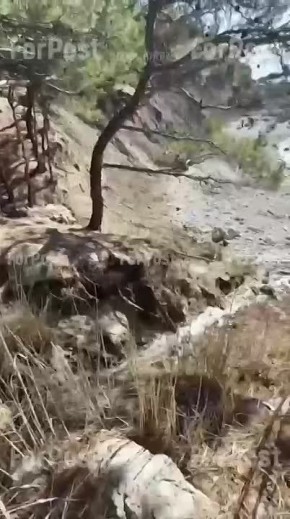 � ����� � ����������� ����� ����� ����