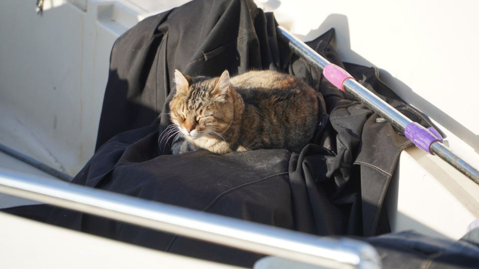 ���������: �����, ��� ����-������ �������� ������ ��������