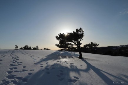 ���� ����������� ������� � ����� ��������� ������, �� ��-����� � ����