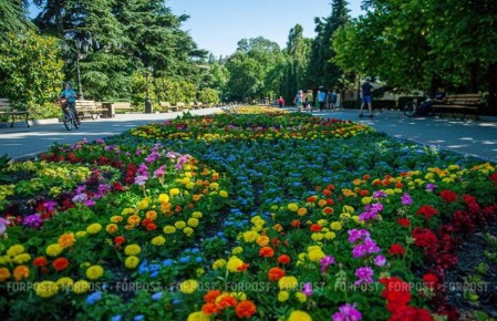 ����������� ��������� � ���������� �����������