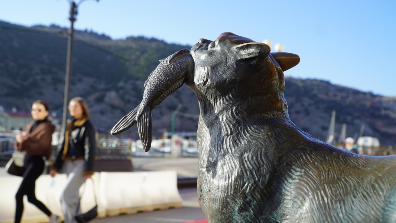 Балаклава: место, где коты-рыбаки покоряют сердца туристов Балаклава: место, где коты-рыбаки покоряют сердца туристов