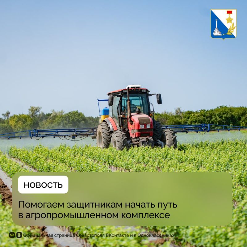 122 ветерана СВО в Севастополе начали путь в агробизнесе