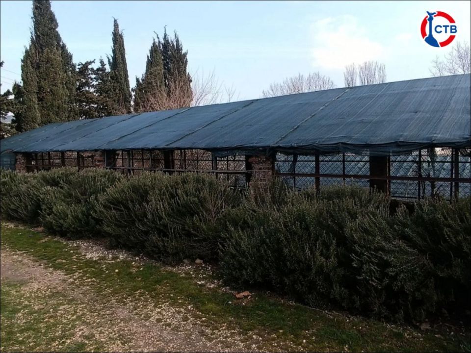 ������ � ����������� ������� ����� 4 ����� ��������