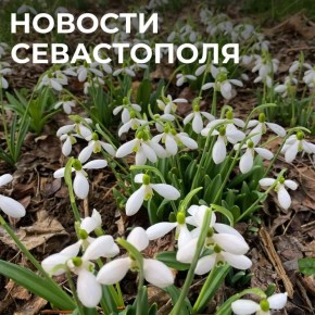 ������ ���������: ������� � �������:. ������� � ���������: � ��������� ������������� � ��� ������ ������ ����������� ����������� �������� ������������� ������������ ��������, �������� ��������������, ���������������...