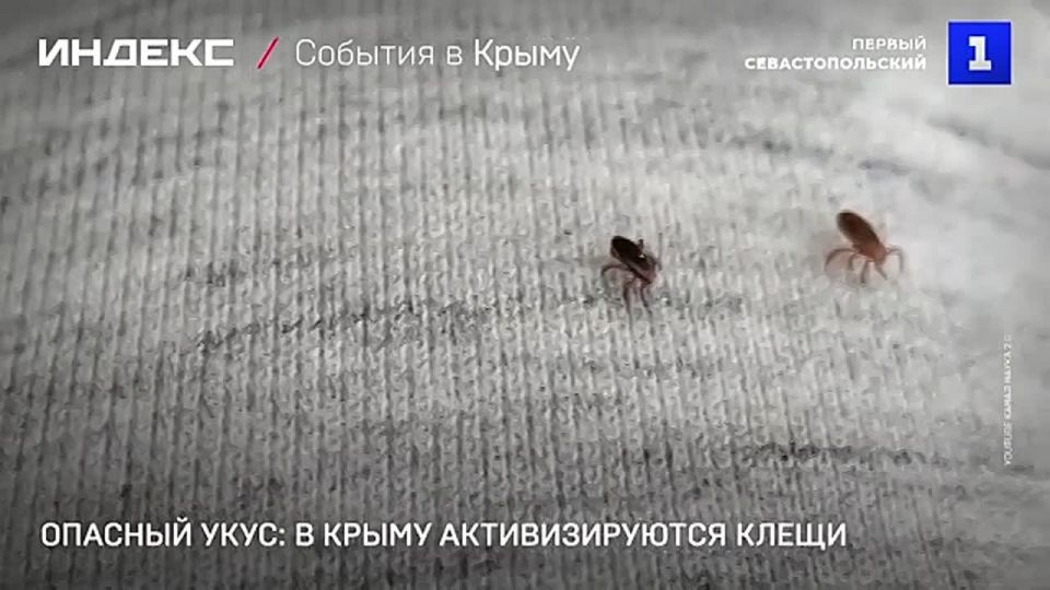 � ������������ ����� � ����� ���������������� �����