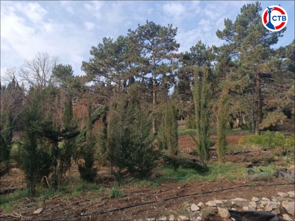 ������ � ����������� ������� ����� 4 ����� ��������