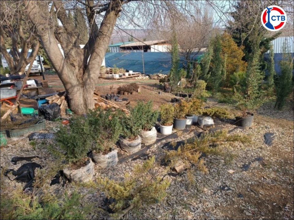 ������ � ����������� ������� ����� 4 ����� ��������