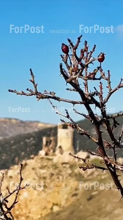 �� ����� � ����� � ����������� ����� � ��������� ����������� ���