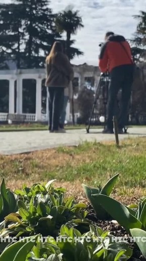 Знаете, какой цветок спокойно переносит прохладную погоду?