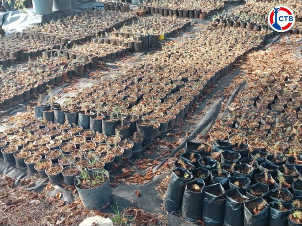 ������ � ����������� ������� ����� 4 ����� ��������