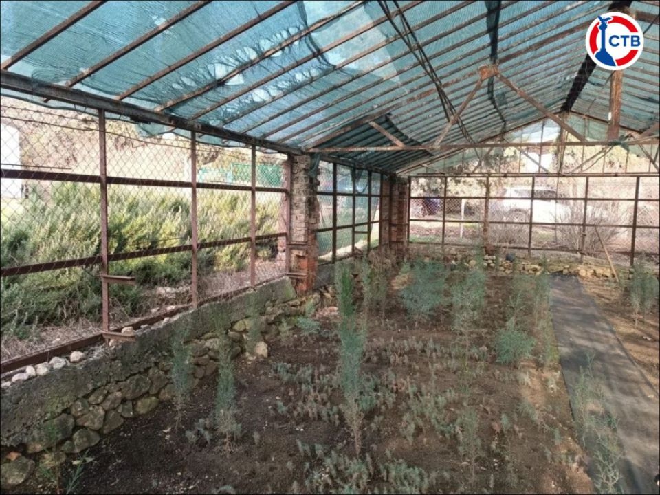 ������ � ����������� ������� ����� 4 ����� ��������