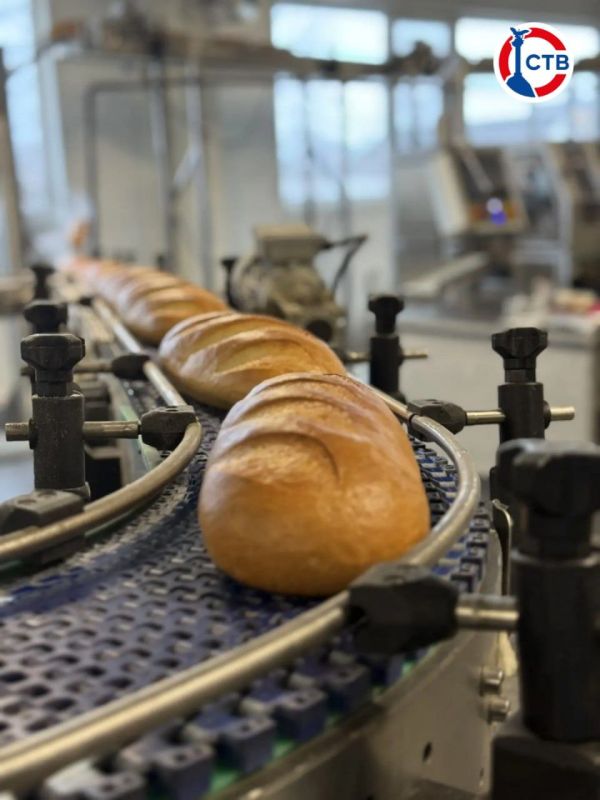 На севастопольском хлебозаводе запустили новую линию производства На севастопольском хлебозаводе запустили новую линию производства