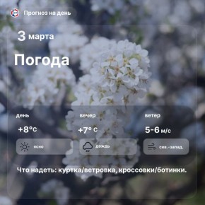 ������ ����, �������������! ������� ����� ������ ����� ������� ����, ����������� ������� �� 8��