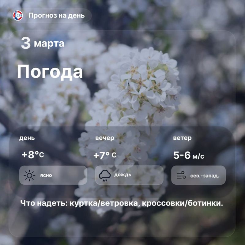 Доброе утро, севастопольцы! Сегодня город радует ясной погодой днём, температура воздуха до 8°С