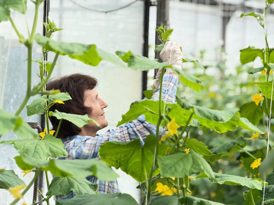 Татьяна Лобач: Вместе с заместителем главы Балаклавского муниципального округа Юлией Липовкой посетили предприятие ООО «Севагросоюз» в Севастополе Татьяна Лобач: Вместе с заместителем главы Балаклавского муниципального округа Юлией Липовкой посетили предприятие ООО «Севагросоюз» в Севастополе