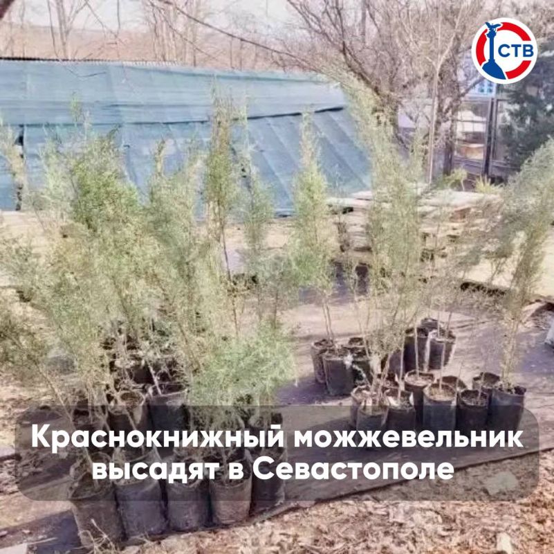 О главных событиях дня. Эти и другие новости в нашем видео ВК СТВ в MAX