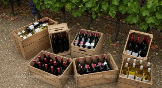 ���� ����� � ����������� �������� ������� � ������ �� ������ �����������