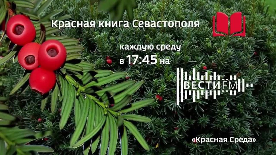 Сегодня, 4 марта, в эфире радио «Вести ФМ» стартует региональный проект, посвящённый редким представителям флоры и фауны нашего края