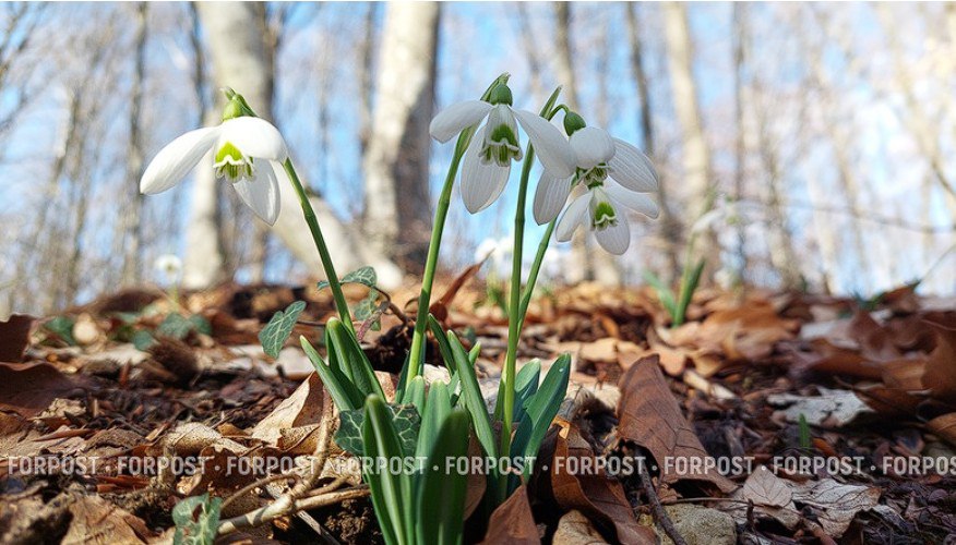 Обильные снега и дожди с избытком наполнили карстовые полости в Крымских горах Обильные снега и дожди с избытком наполнили карстовые полости в Крымских горах