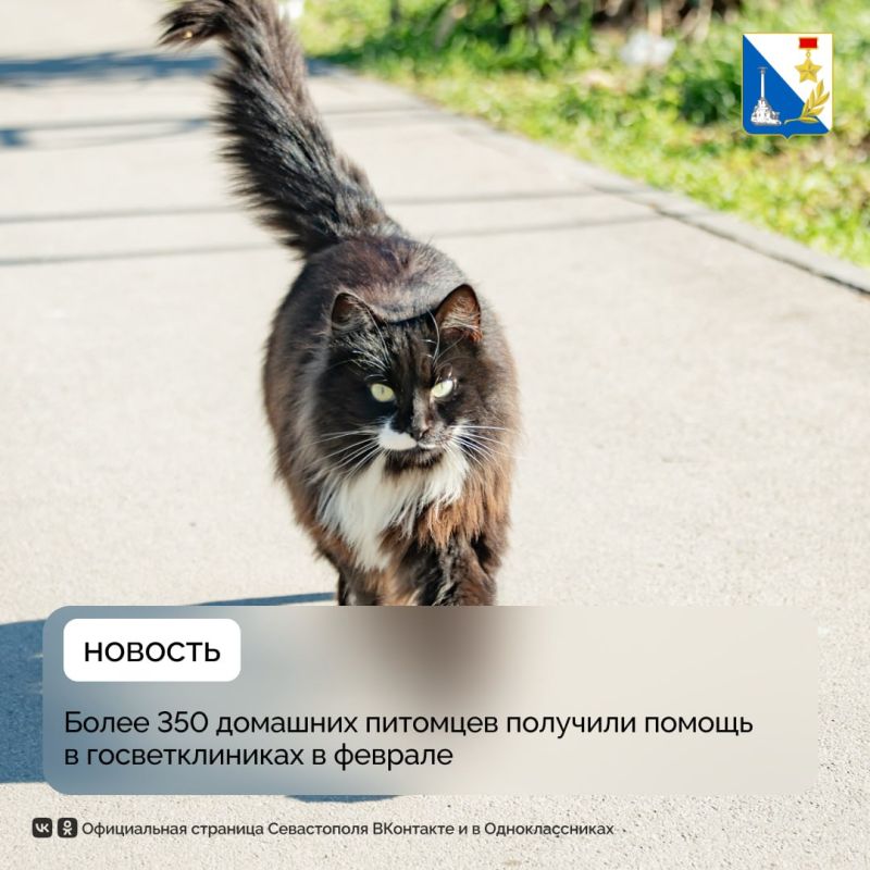 � ������� ����������� ������������ �������� 355 �������� ��������