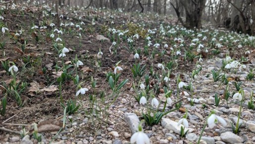 � ��������������� ����� ��������� ����������