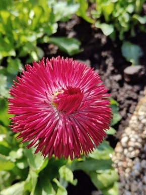 #��� �� ��������?. ��� ������ ����������� ������� ���, ����� ��������� ������� ���� � ����� ������ ������