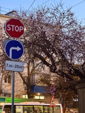 ��� ������: ������� ����� ��� �������