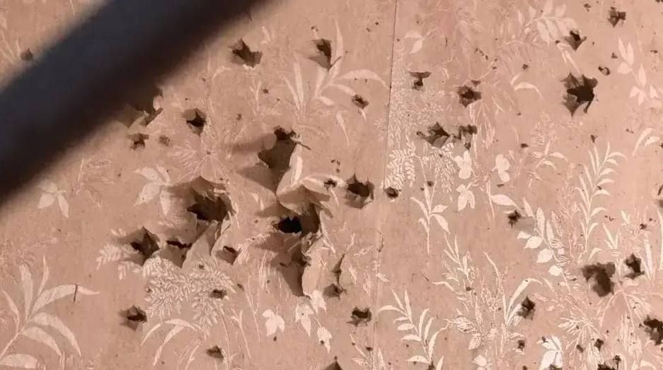 � ����������� ����� ������� ������������ ����� ������ ���� ���������� ������ �������