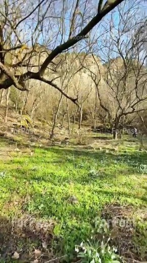 ��������� ���������� ������ ���������� ����������� ��������������