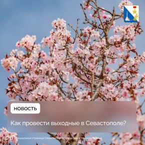 ���������� � ���������� ������������ �� ���� ��������