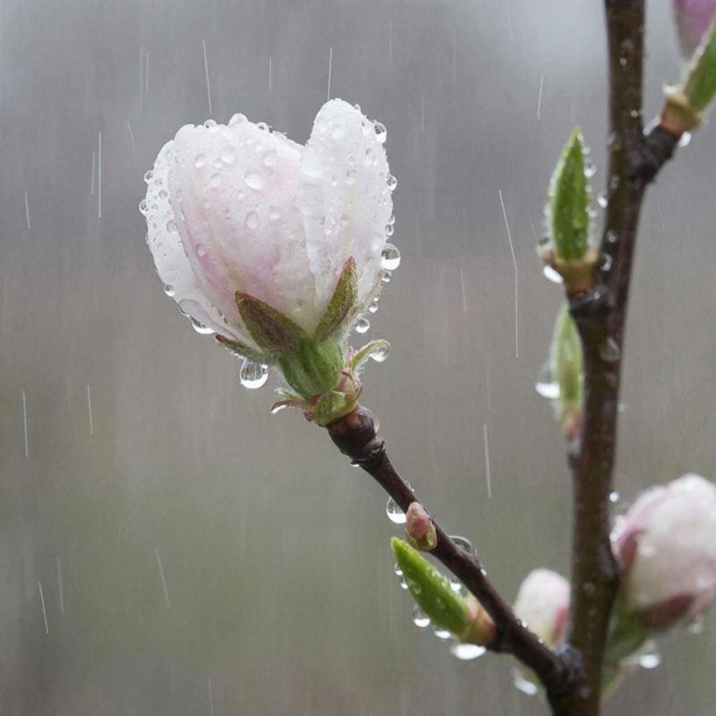 ������� ������ � ����� �� 6 �����