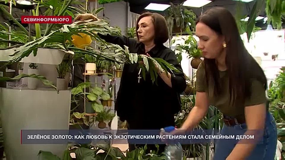 �� ��������� ����������� ��������� ������ �������, � ������� �������� ��������� ������������� ��� ������� ��������