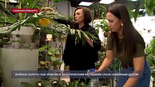 �� ��������� ����������� ��������� ������ �������, � ������� �������� ��������� ������������� ��� ������� ��������