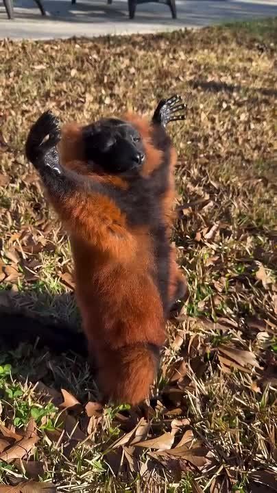 Приход весны ощущается примерно так