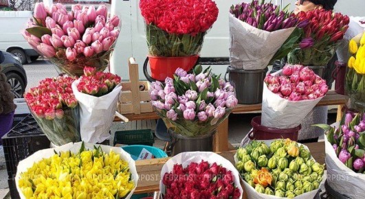 ���� ��� ������ ������ �� ����� ����� ������, ��� 5 ��� ����� (������� ��� � 227 ���./��.), � ����� ���� ����� �� �����