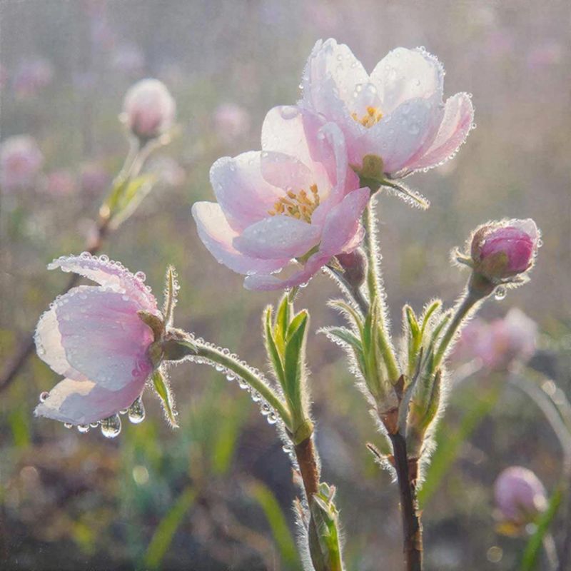 ������� ������ � ����� �� 7 �����