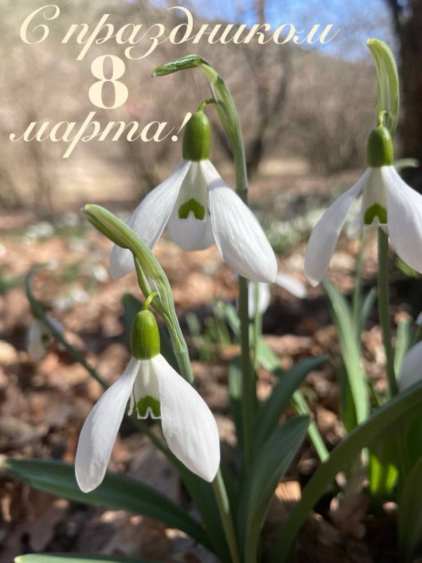 �������: ������� � ���������� �������!