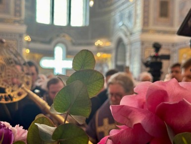 ���������� ������ ���� ����� �� ���� � ���������� �� �����������