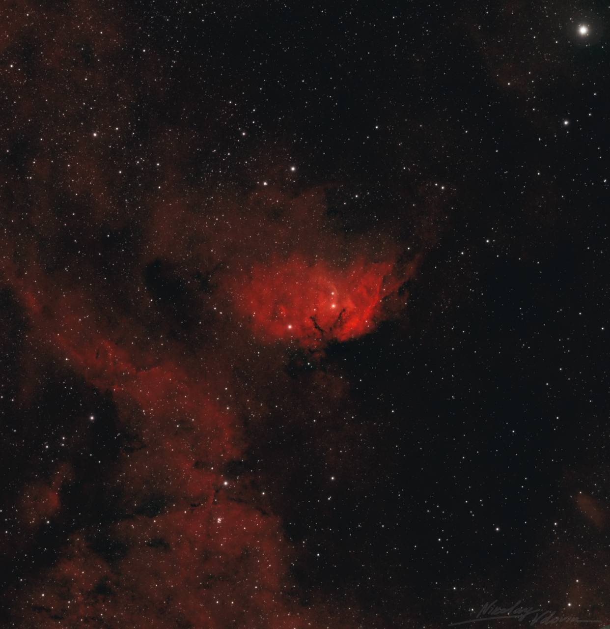 Вселенная дарит букеты своим самым прекрасным созданиям