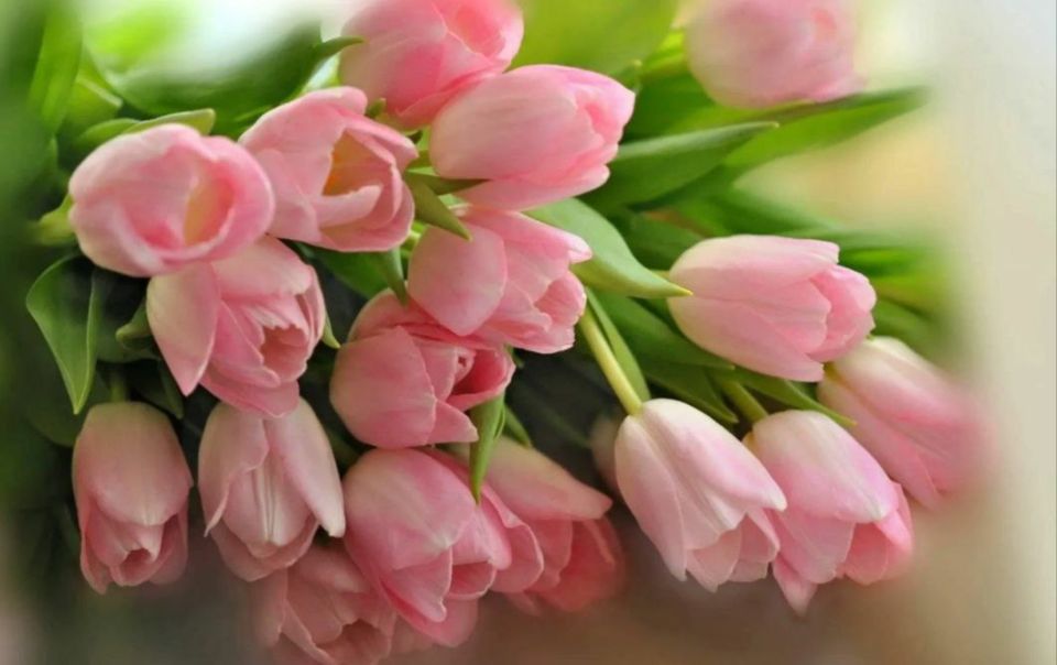 ������� ���� ����� �������!