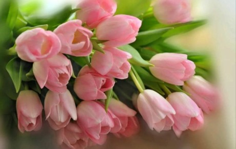 ������� ���� ����� �������!