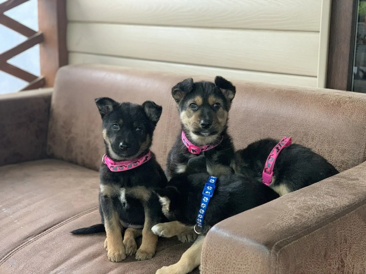 Путь женщины: как волонтер из Крыма покорила новые регионы Путь женщины: как волонтер из Крыма покорила новые регионы