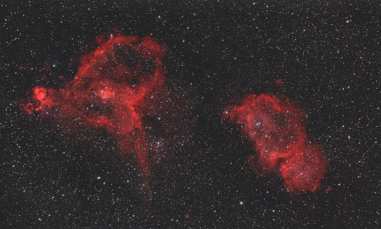 Вселенная дарит букеты своим самым прекрасным созданиям Вселенная дарит букеты своим самым прекрасным созданиям