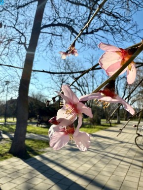 ������� ������ ���������� �������������� ������!