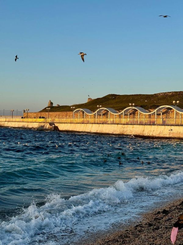 ������ �� 9 �����: