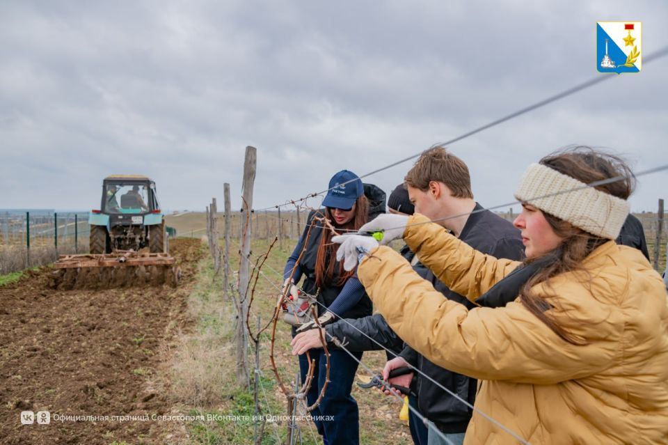 70% специалистов на наших предприятиях винодельческой отрасли — выпускники СевГУ